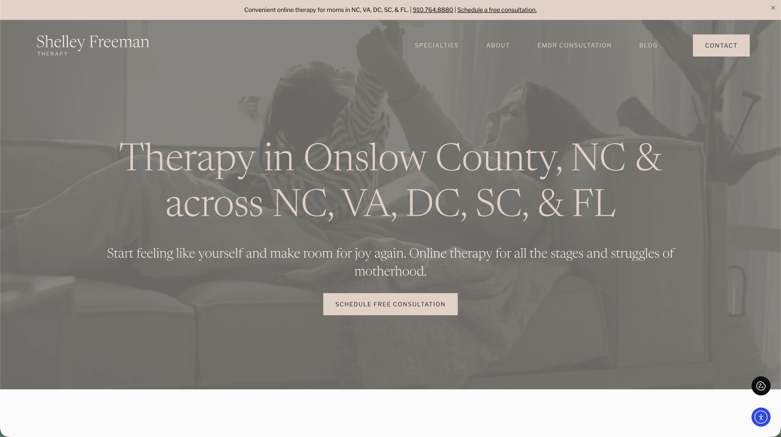 Shelley Freeman Therapy — desktop